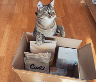 chat,chat sans céréale,chat sans céréales,chats,croquette,croquette chat sans céréale,croquette sans céréale,croquette sans céréales,croquettes,croquettes chat,croquettes chat sans cereales,croquettes chat sans céréales,croquettes chats sans,croquettes chats sans céréales,croquettes sans,croquettes sans cereales,croquettes sans céréale,croquettes sans céréales,croquettes sans céréales chat,céréales,sans,sans cereales,sans céréale chat,sans céréales,sans céréales chat