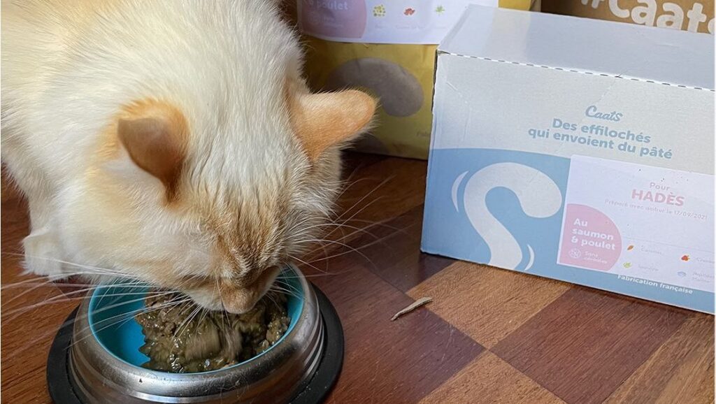 chat,chat sans céréale,chat sans céréales,chats,croquette,croquette chat sans céréale,croquette sans céréale,croquette sans céréales,croquettes,croquettes chat,croquettes chat sans cereales,croquettes chat sans céréales,croquettes chats sans,croquettes chats sans céréales,croquettes sans,croquettes sans cereales,croquettes sans céréale,croquettes sans céréales,croquettes sans céréales chat,céréales,sans,sans cereales,sans céréale chat,sans céréales,sans céréales chat