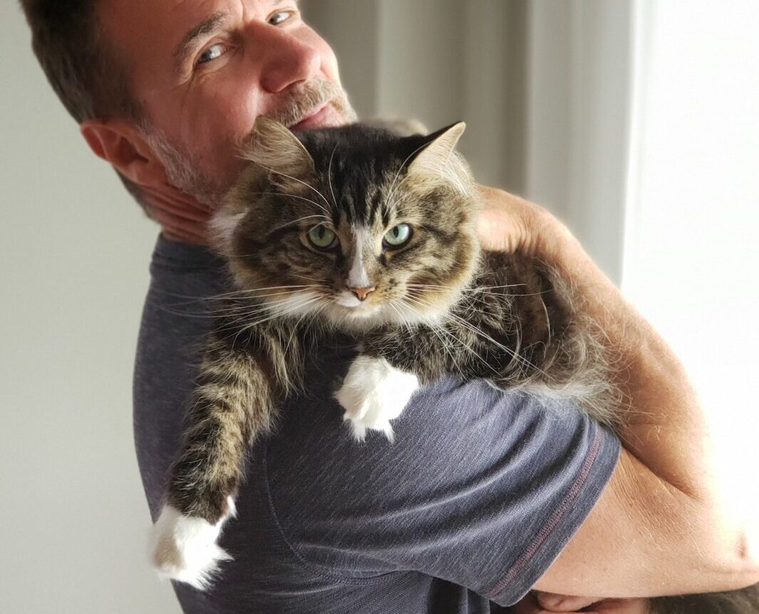 Besoin nutritionnels chat sénior