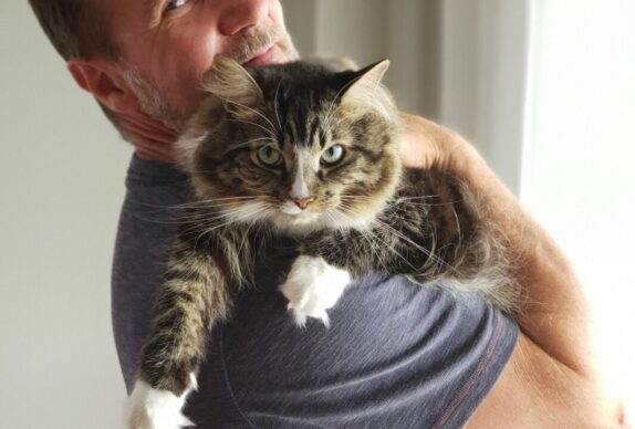 Besoin nutritionnels chat sénior