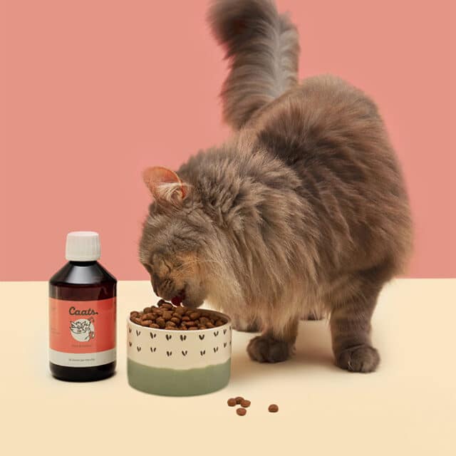 huile de poisson pour chat