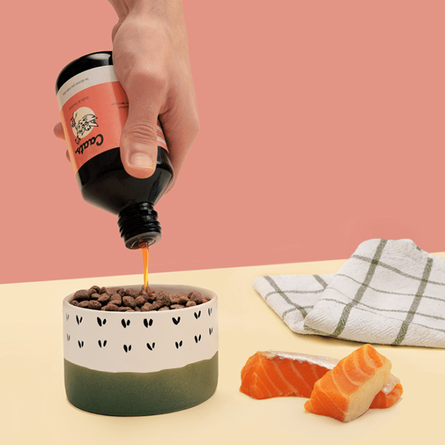 huile de saumon pour chat