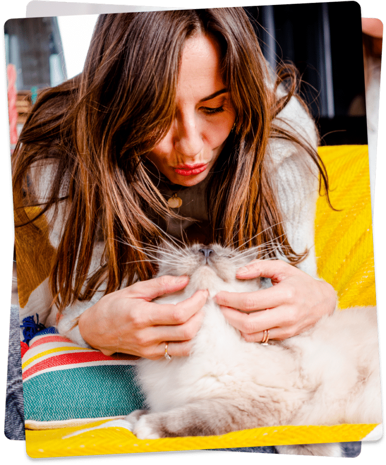 croquette chat sénior