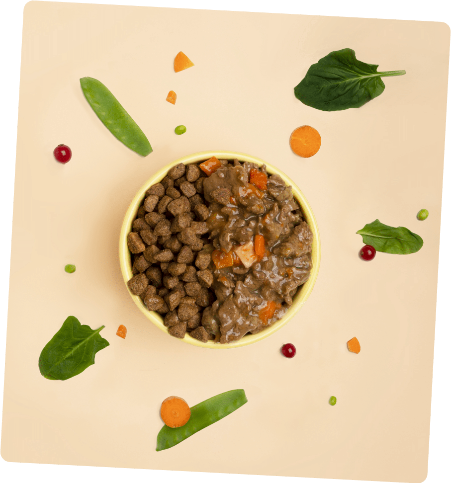 Gamelle bi-nutrition