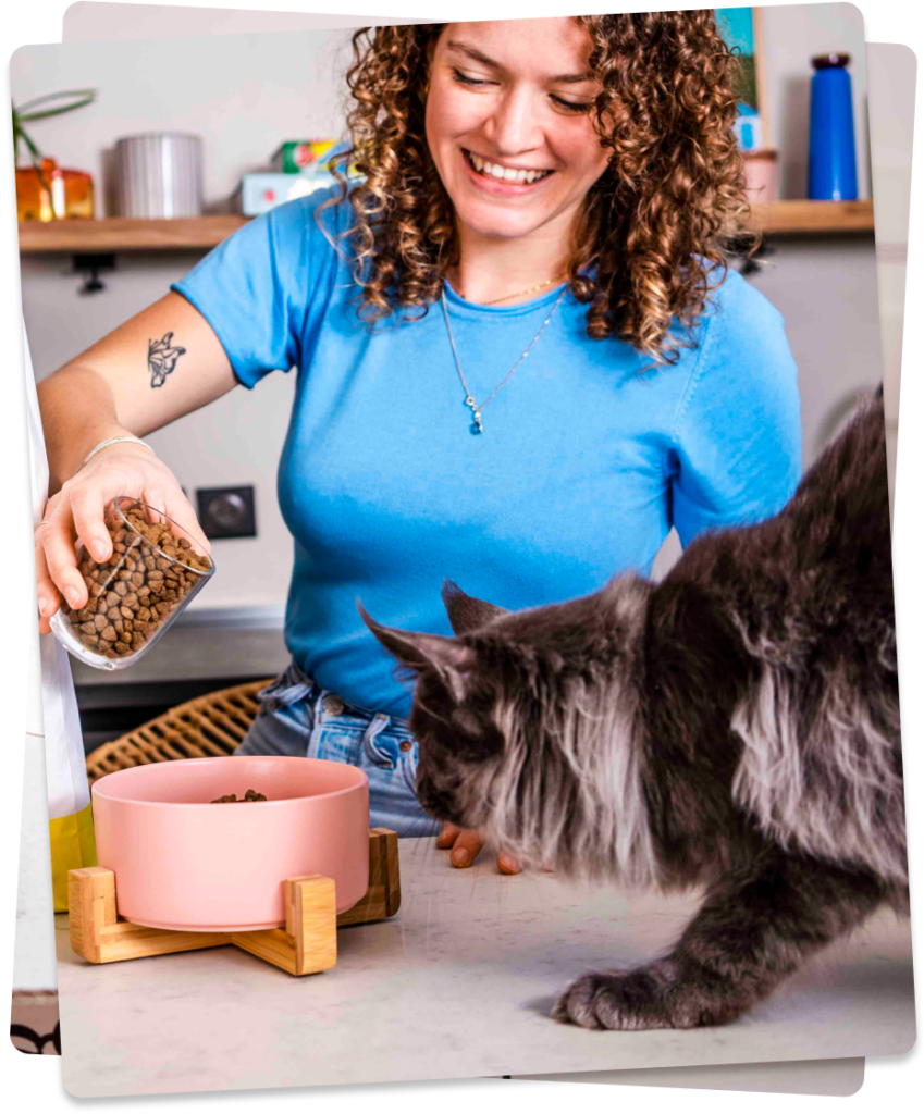 un chat stérilisé qui mange des croquettes spécial pour chat stérilisé et sans céréales