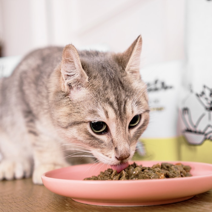 EFFILOCHE-SAUMON-LIFESTYLE-2