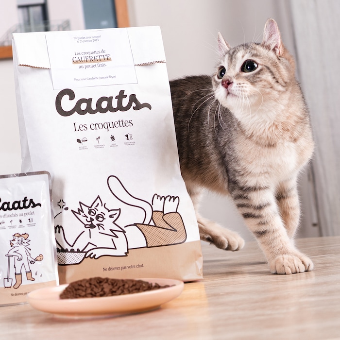 meilleure croquettes pour chaton