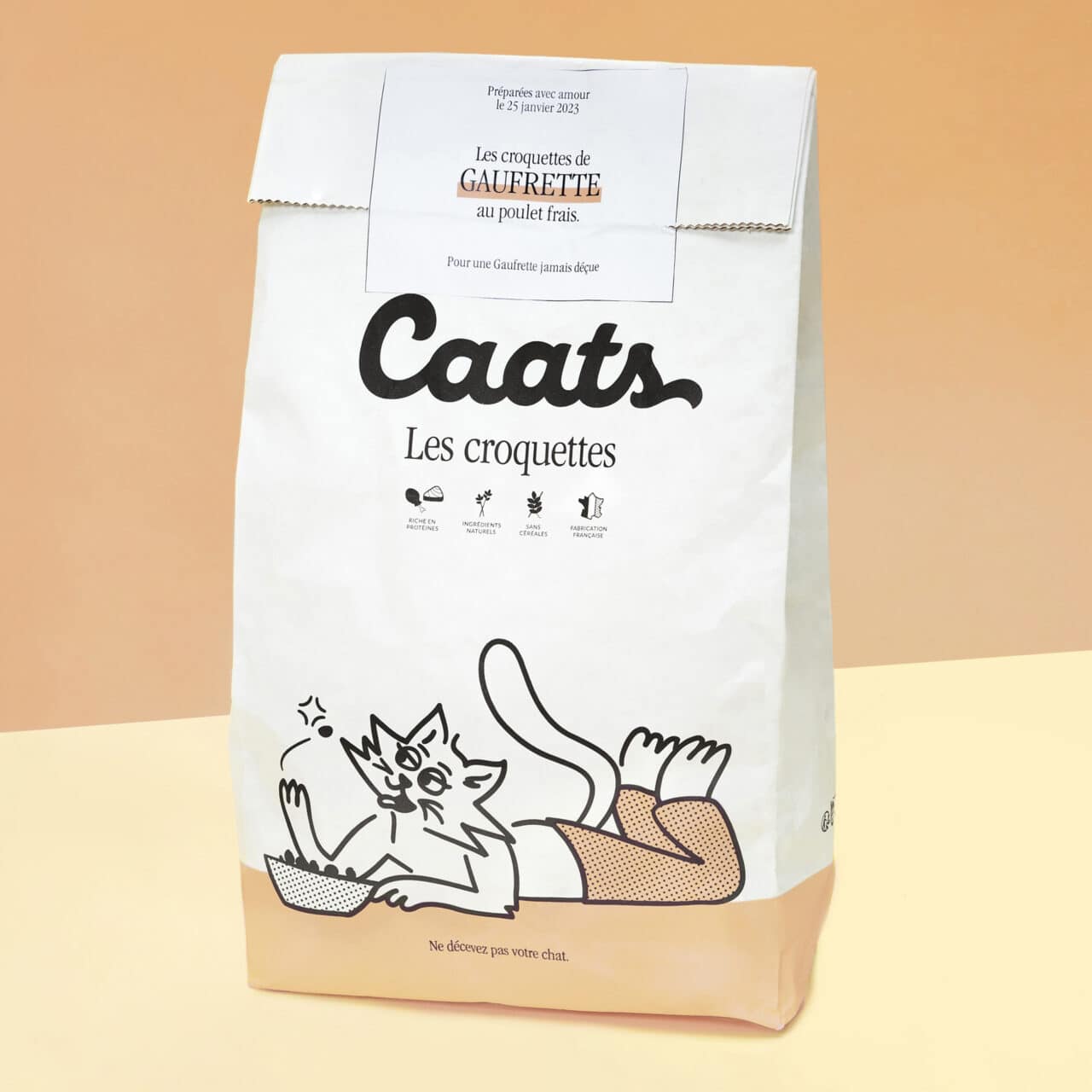 Croquettes pour Chaton