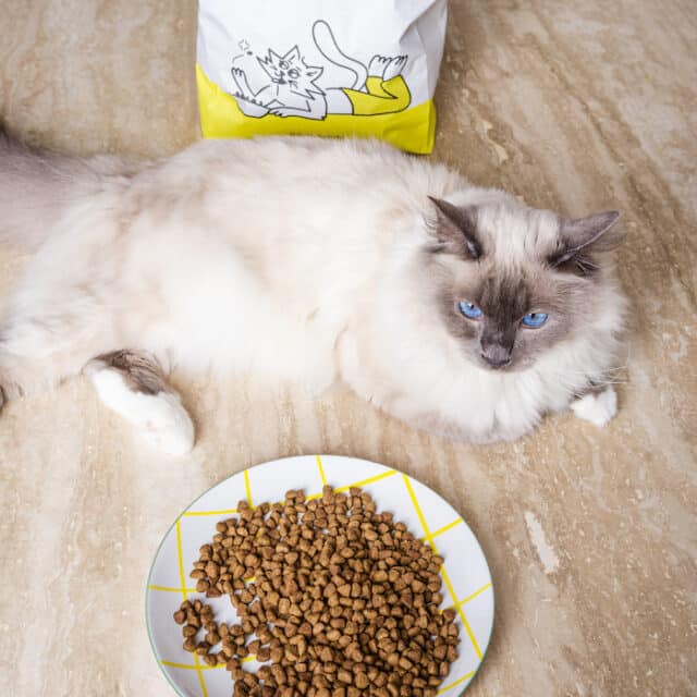 CROQUETTE-POULET-LIFESTYLE-1 copie 2