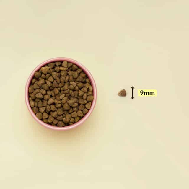 CROQUETTE-SAUMON-TAILLE copie