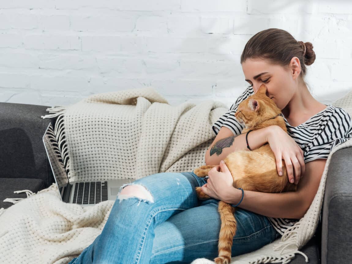 Comment dire je t'aime à son chat ? Certains gestes d'amour sont universels 🐱💕