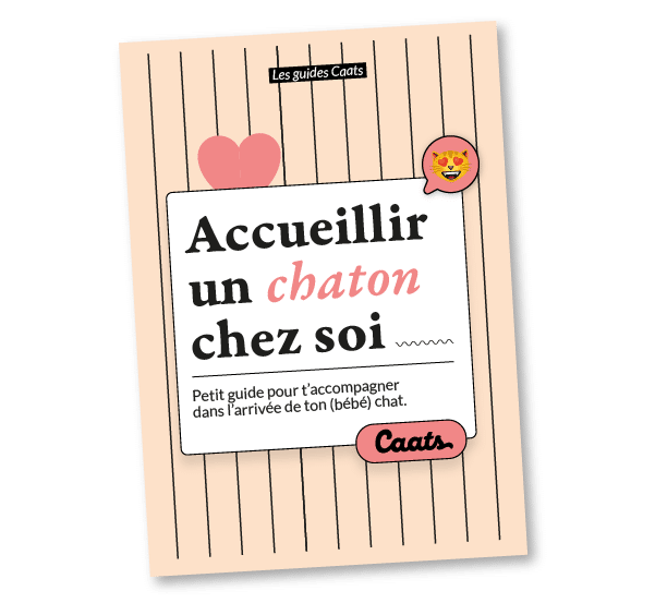 Guide / livret pour accueillir un chaton chez toi