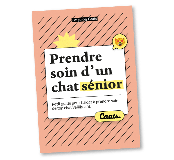Guide / livret pour prendre soin d'un chat senior