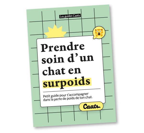 Guide / livret pour prendre soin d'un chat en surpoids
