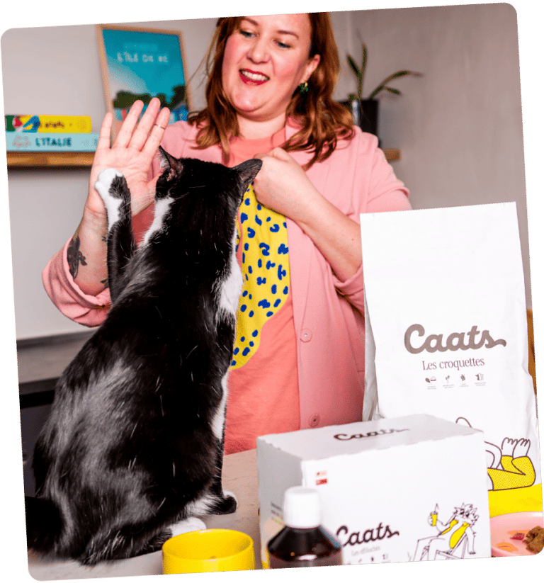 croquettes chat