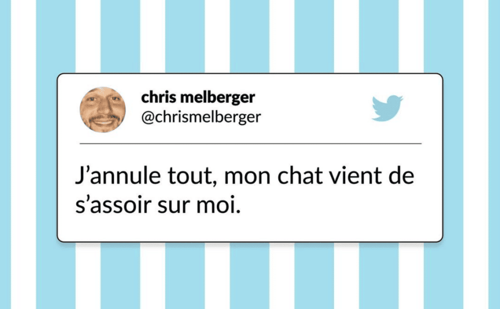tweets chat drôles annulation