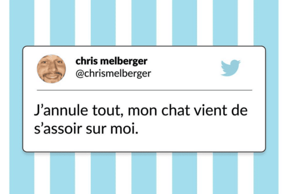 tweets chat drôles annulation