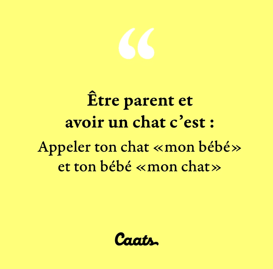 Être parent et avoir un chat c'est : Appeler ton chat "mon bébé" et ton bébé "mon chat"