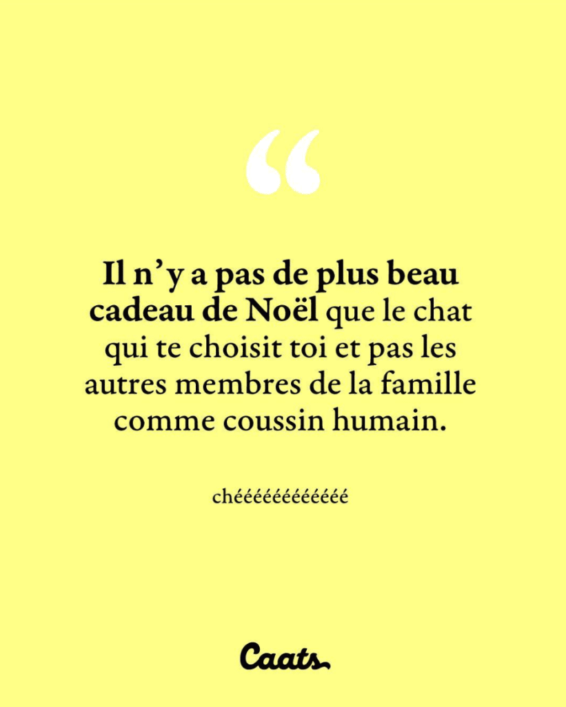 Il n'y a pas de plus beau cadeau de Noël que le chat qui te choisit toi et pas les autres membres de la famille comme coussin humain.