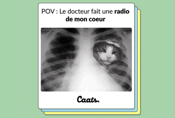 tweets chat drôles radio