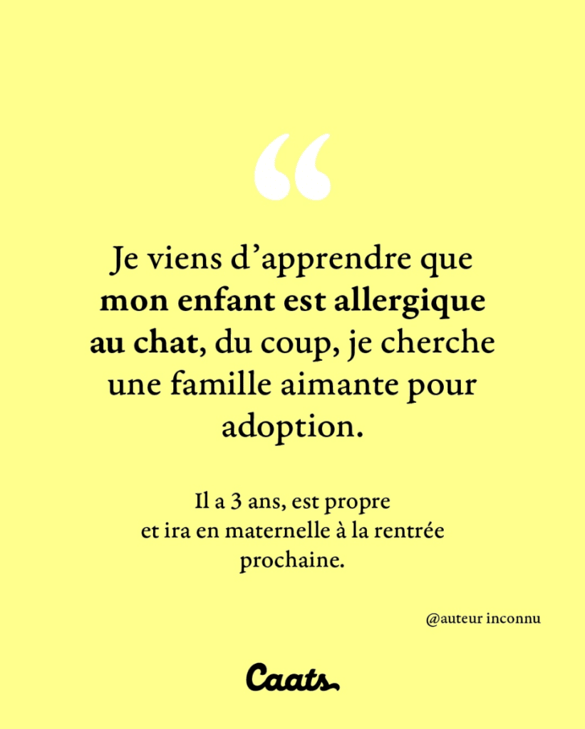 Je viens d'apprendre que mon enfant est allergique au chat, du coup, je cherche une famille aimante pour adoption. Il a 3 ans, est propre et ira en maternelle à la rentrée prochaine.