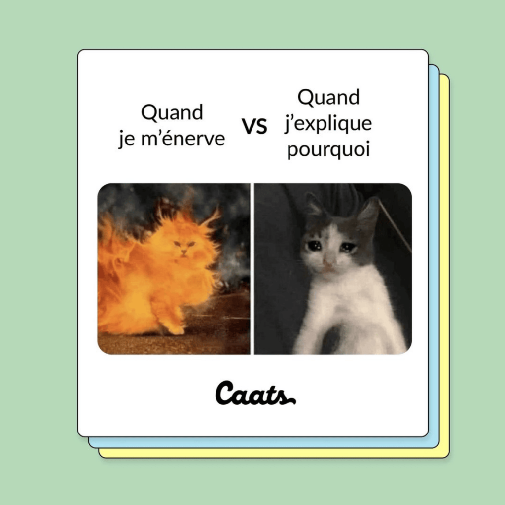 tweets chat drôles enervé