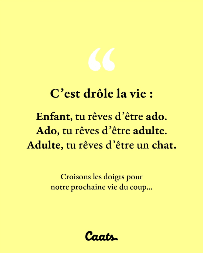 C'est drôle la vie : Enfant, tu rêves d'être ado. Ado tu rêves d'être adulte. Adulte, tu rêve d'être un chat.