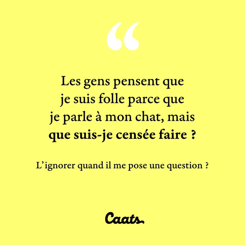 Les gens pensent que je suis folle parce que je parle à mon chat, mais que suis-je censée faire ? L'ignorer quand il me pose une question ?