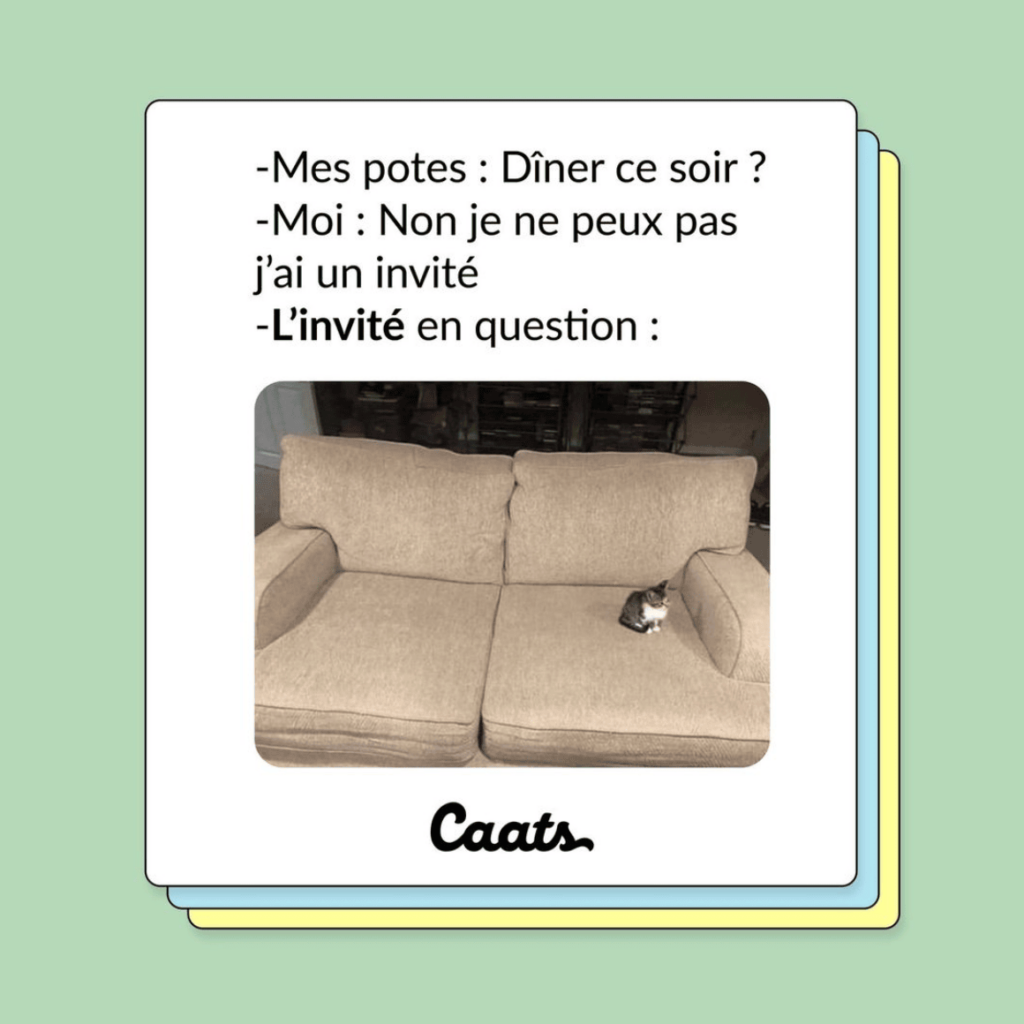 tweets chat drôles invité