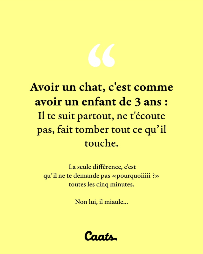 Avoir un chat, c'est comme avoir un enfant de 3 ans : Il te suit partout, ne t'écoute pas, fait tomber tout ce qu'il touche. La seule différence c'est qu'il ne demande pas "pourquoiiii ?" toutes les cinq minutes. Non lui, il miaule...