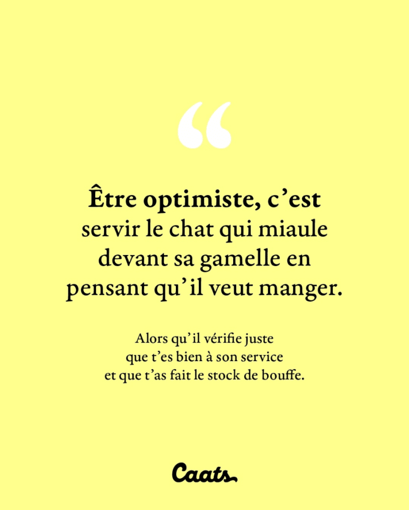 Être optimiste, c'est servir le chat qui miaule devant sa gamelle en pensant qu'il veut manger. Alors qu'il vérifie juste que t'es bien à son service et que t'as fait le stock de bouffe.