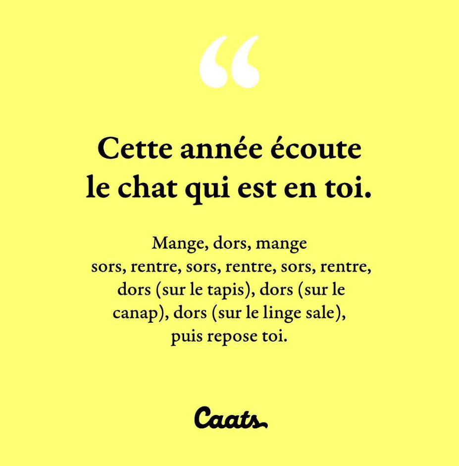 Cette année écoute le chat qui est en toi. Mange, dors, mange, sors, rentre, sors, rentre, sors, rentre, dors, dors, dors, puis repose toi.