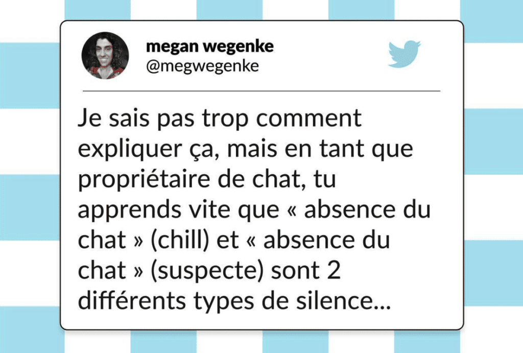 tweets de chat drôles