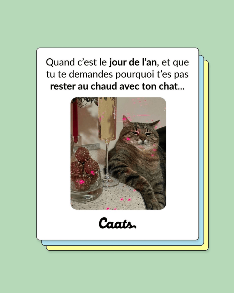 tweets chat drôles nouvel an