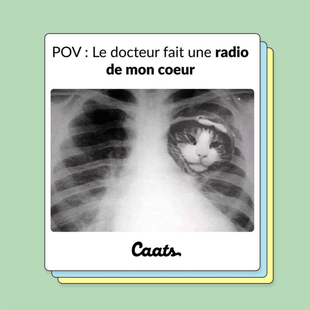 tweets chat drôles radio