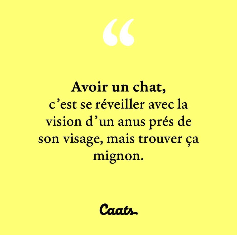 Avoir un chat, c'est se réveiller avec la vision d'un anus prés de son visage, mais trouver ça mignon.