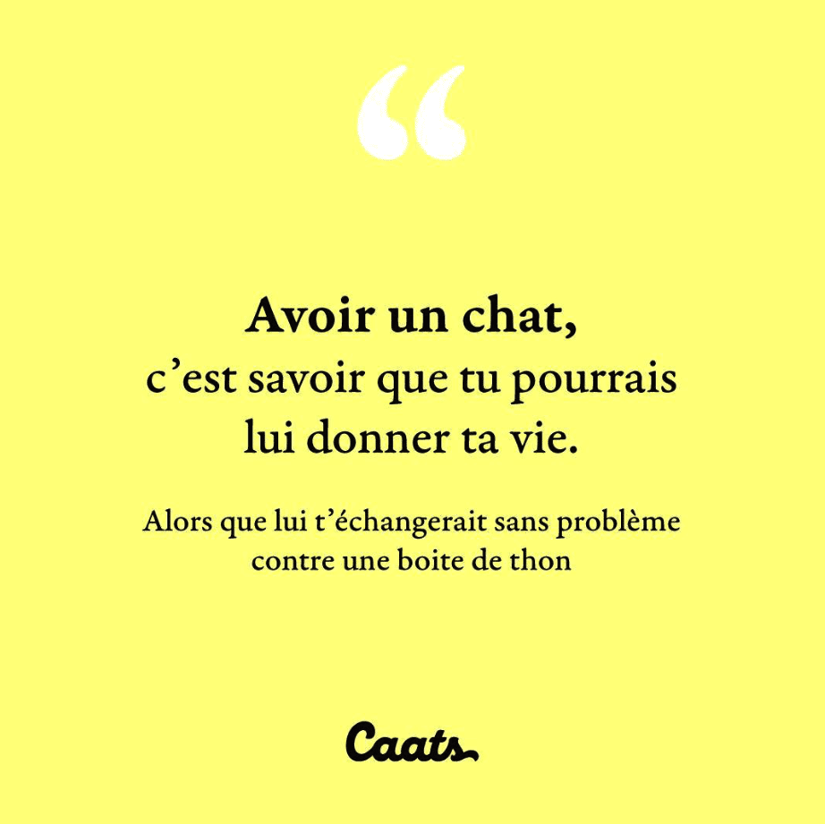 Avoir un chat c'est savoir que tu pourrais lui donner ta vie. Alors que lui t'échangerait sans problème contre une boite de thon
