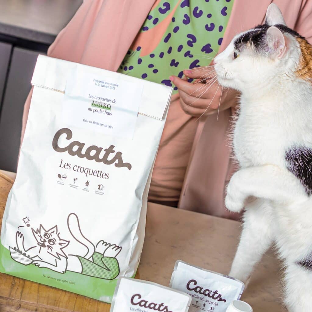 croquette chat obèse