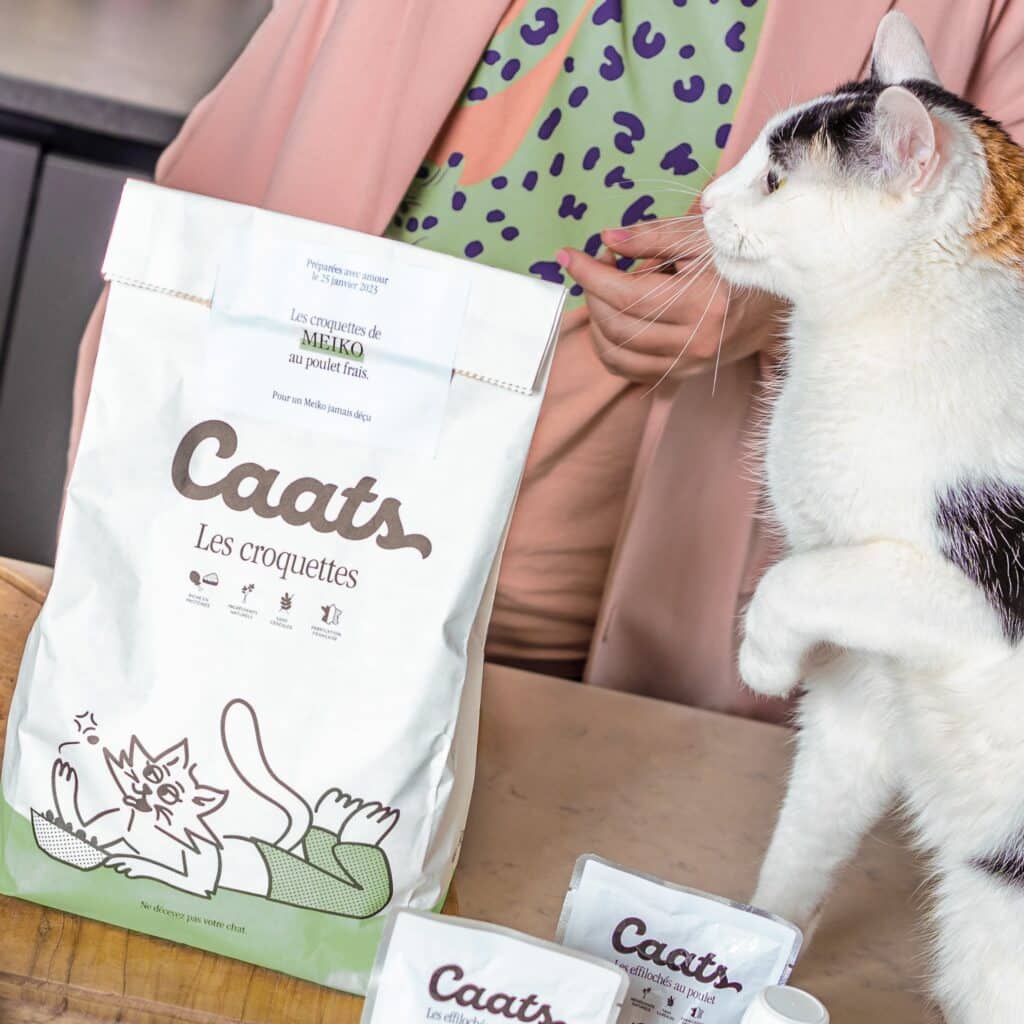 croquette chat en surpoids