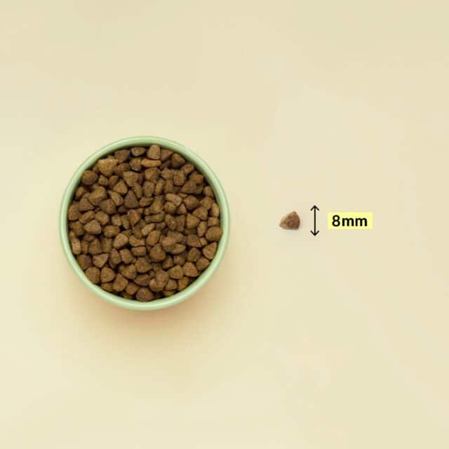 croquettes chat en surpoids sans céréales