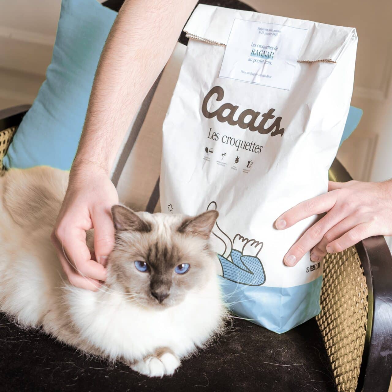 croquette chat senior sans céréales