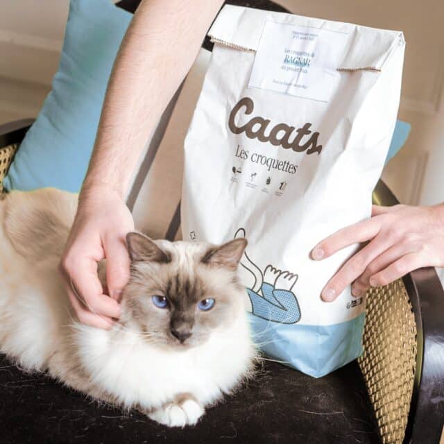 croquette chat senior sans céréales