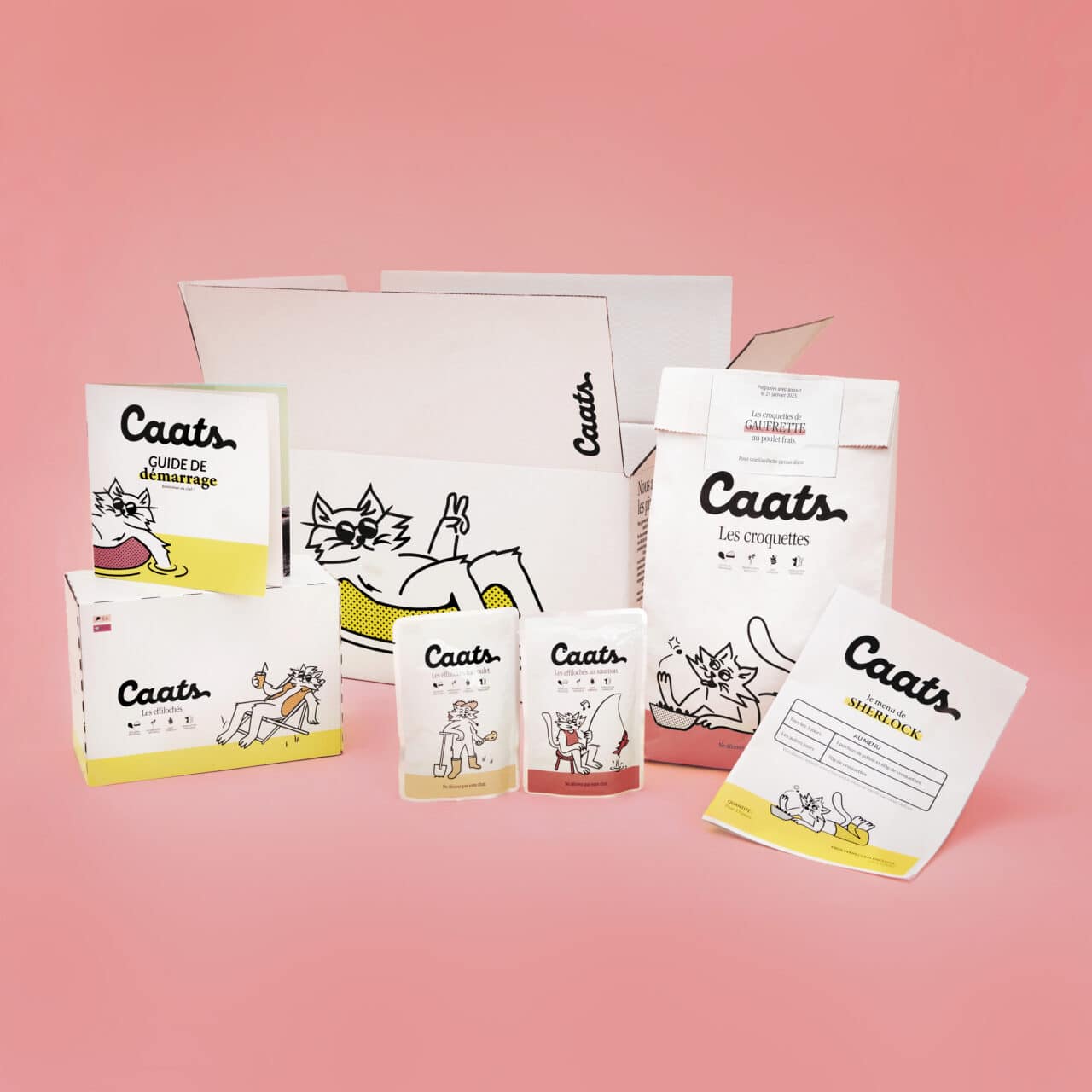 kit d'essai croquettes pour chat