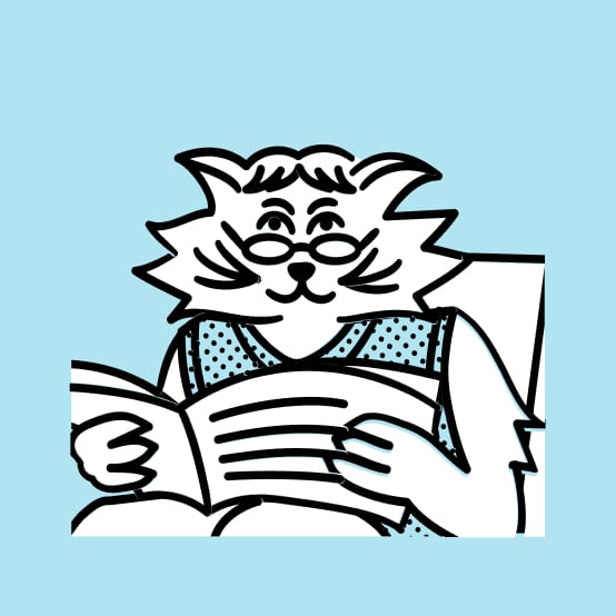 Caats alimentation chat