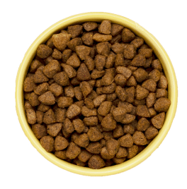 gamelle croquettes chat