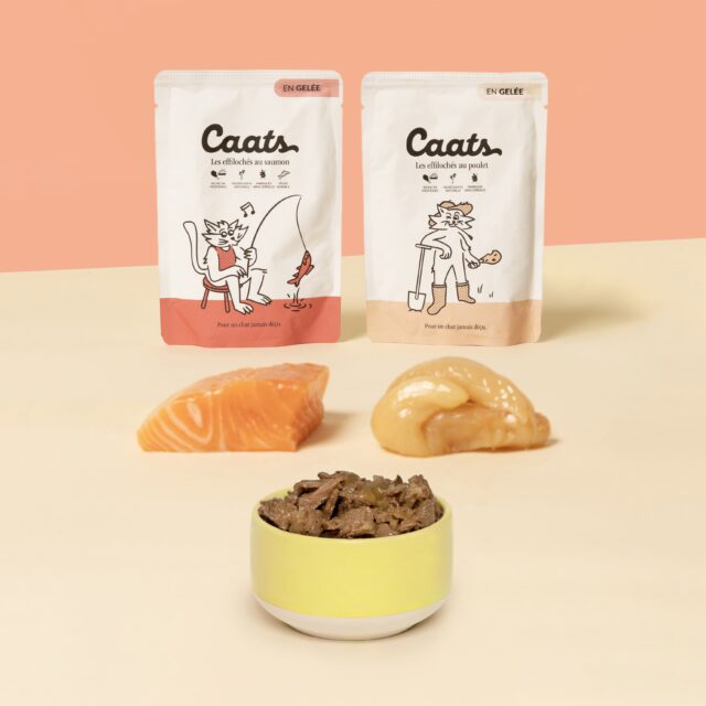 pâtée pour chat au saumon et au poulet