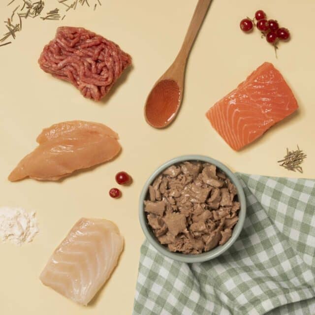 Pâtée effilochée en sauce