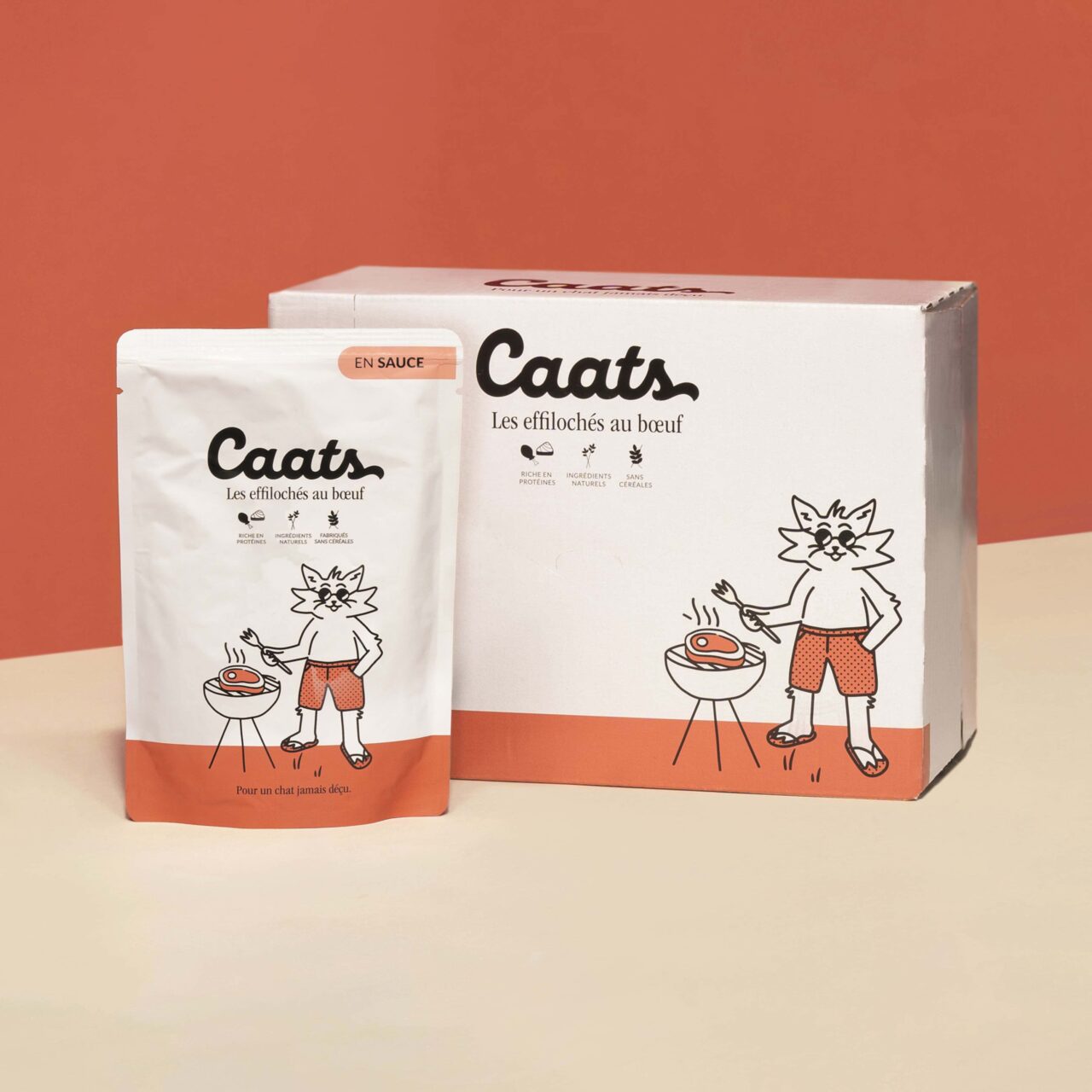 sachet de pâtée pour chat au boeuf et en sauce