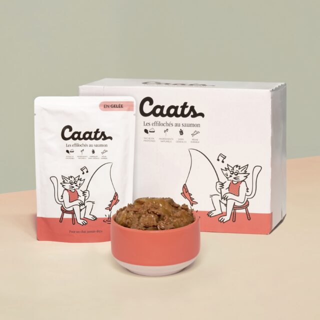 patée pour chat au saumon