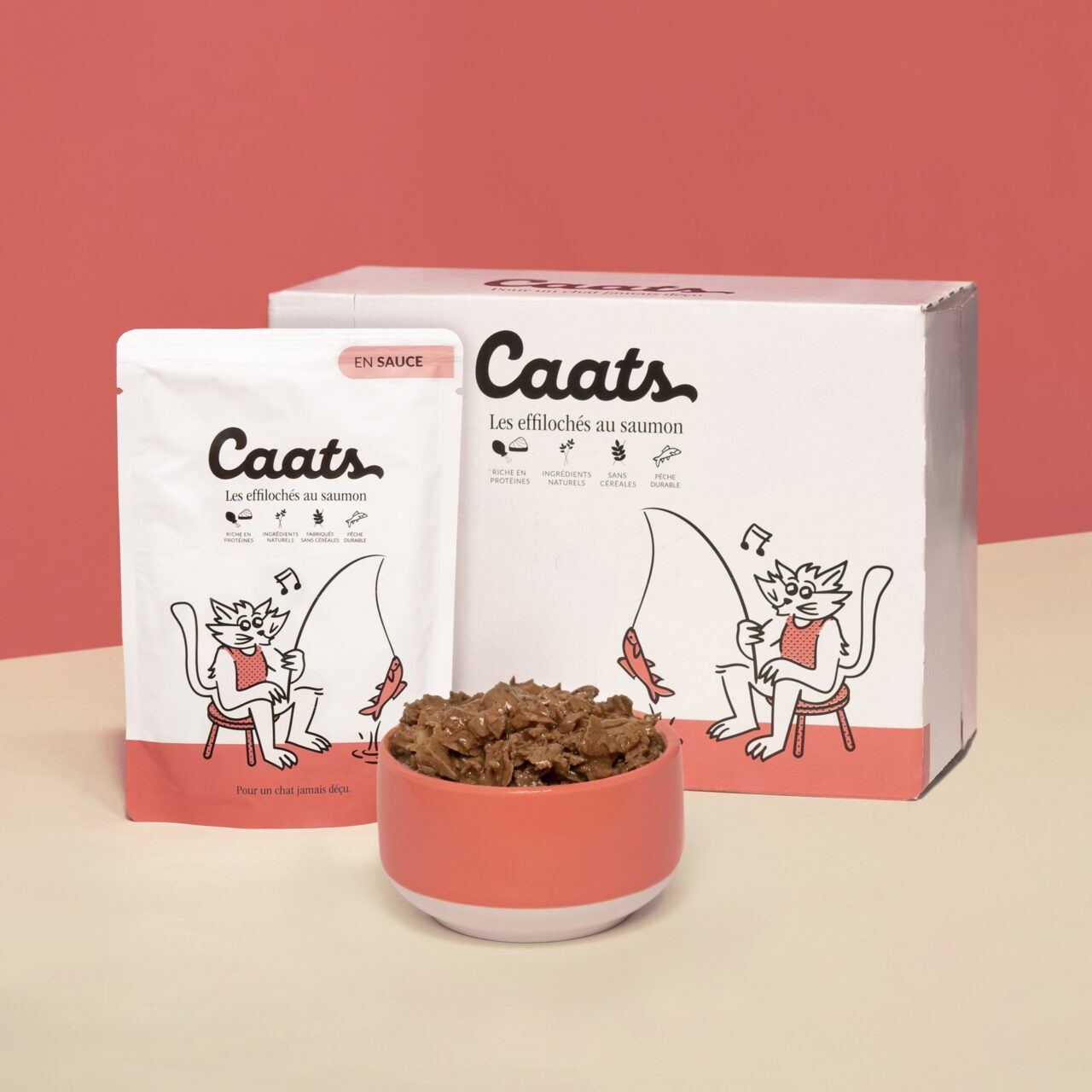 Pâtée pour chat au saumon dans une gamelle